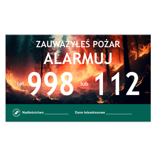 ZAUWAZYŁEŚ-POŻAR,-10.png