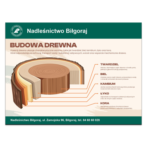 BUDOWA-DREWNA.png