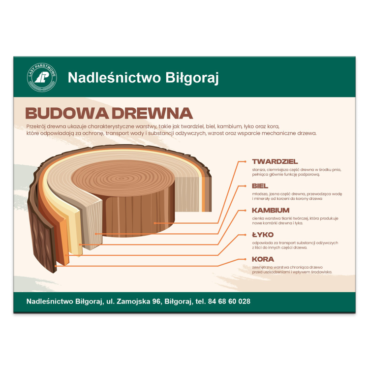 BUDOWA-DREWNA.png