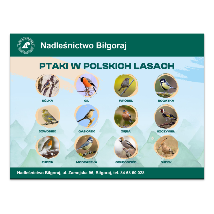 PTAKI-W-POLSKICH-LASACH.png