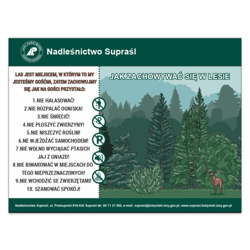 JAK-ZACHOWYWAC-SIE-W-LESIE.png