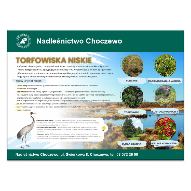 torfowiska-niskie.png