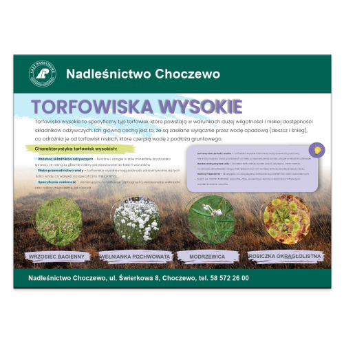 torfowiska-wysokie.png