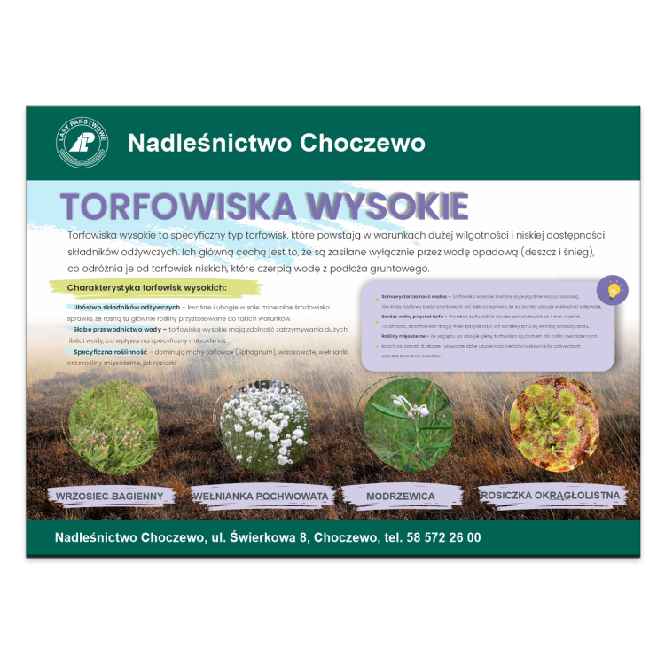 torfowiska-wysokie.png