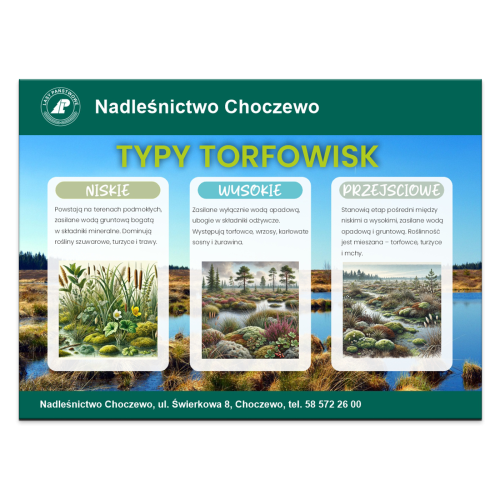 typy-torfowisk.png