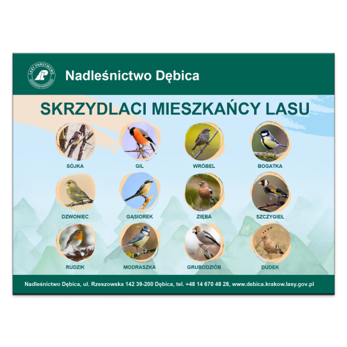 SKRZYDLACI-MIESZKANCY-LASU.png