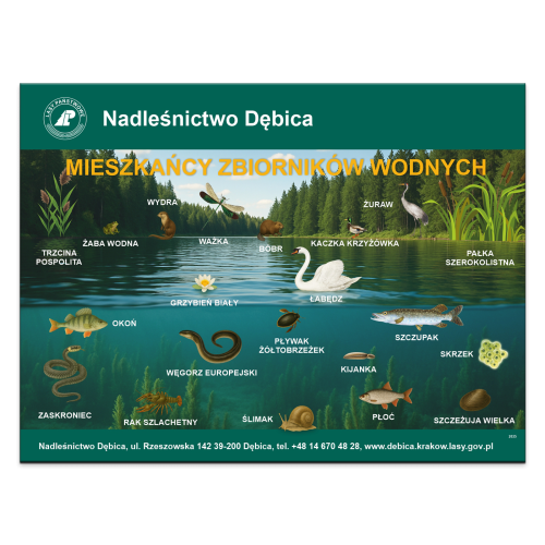 MIESZKANCY_ZBIORNIKA_WODNEGO.png