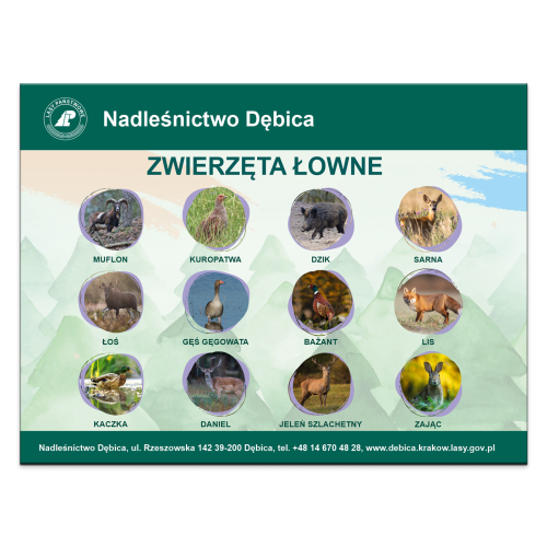 ZWIERZETA_LOWNE.png