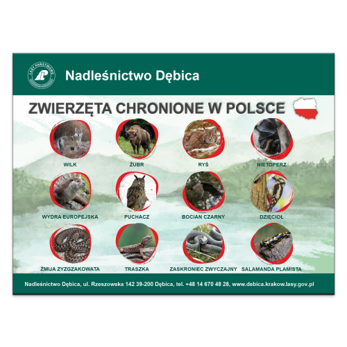 ZWIERZETA_CHRONIONE_W_POLSCE.png