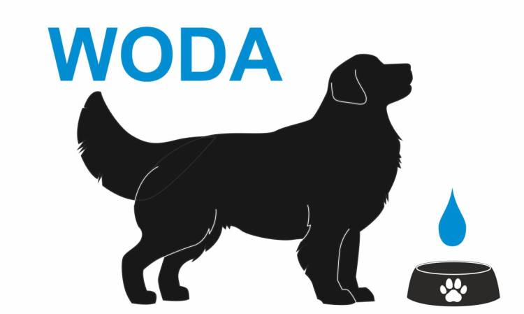 tabliczki_woda_dla_psa2.jpg