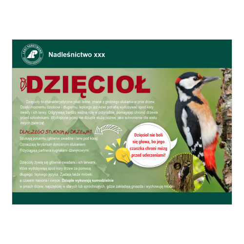 dzięcioł_strona_www.png