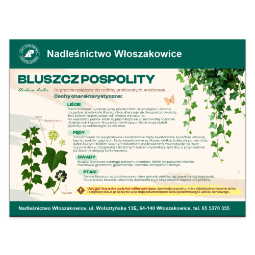 BLUSZCZ POSPOLITY.png