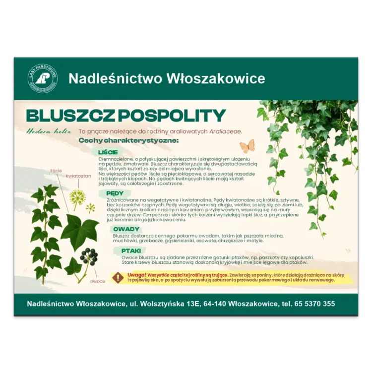 BLUSZCZ POSPOLITY.png