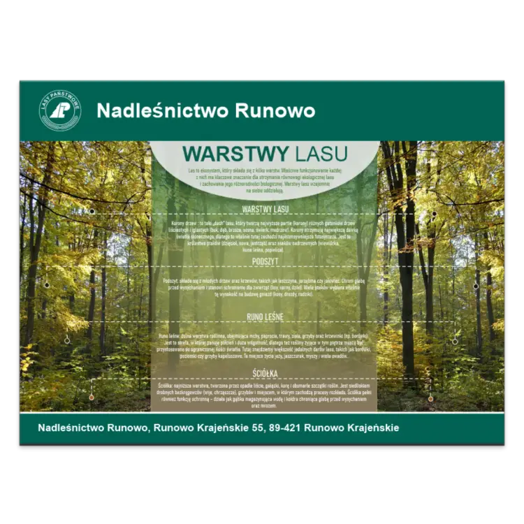 WARSTWY LASU.png