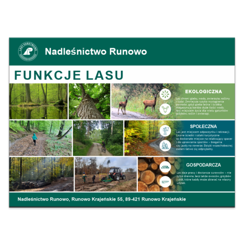 FUNKCJE LASU.png