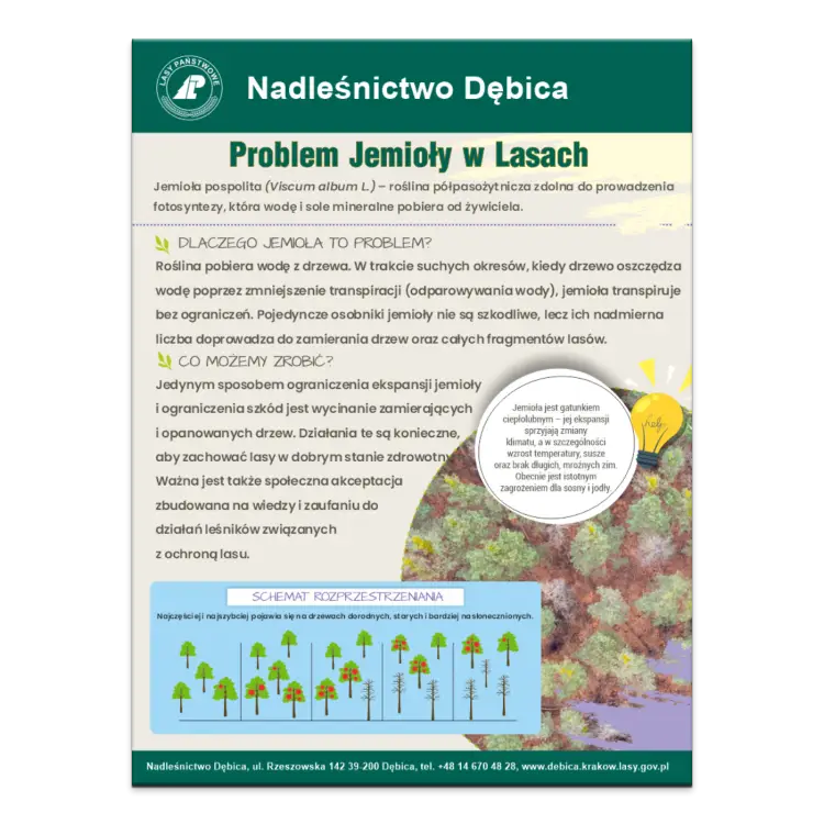 PROBLEM JEMIOLY W LASACH.png
