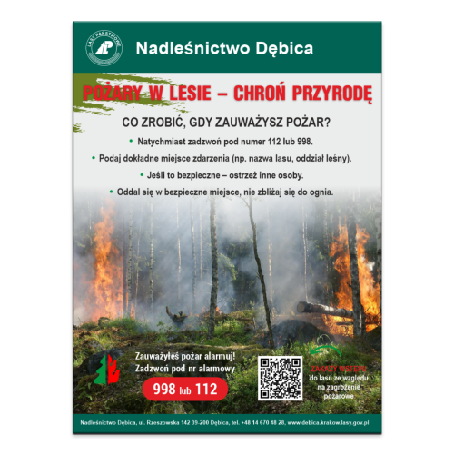 POZARY W LESIE CHRON PRZYRODE.png
