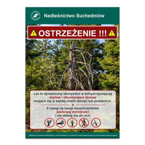 OSTRZEZENIE MARTWE I OBUMIERAJACE DRZEWA.png
