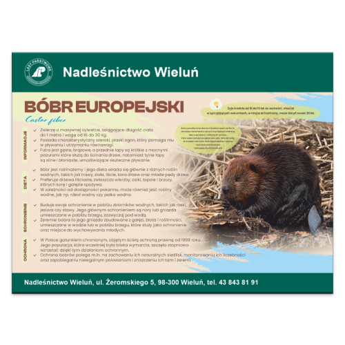 BOBR EUROPEJSKI.png