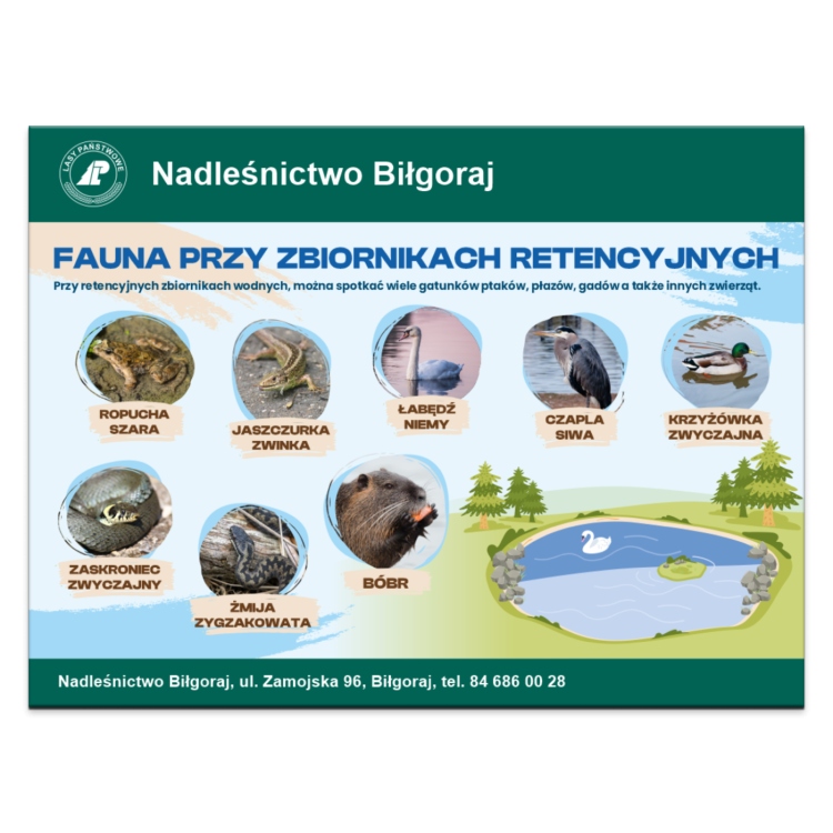 FAUNA PRZY ZB RET.png