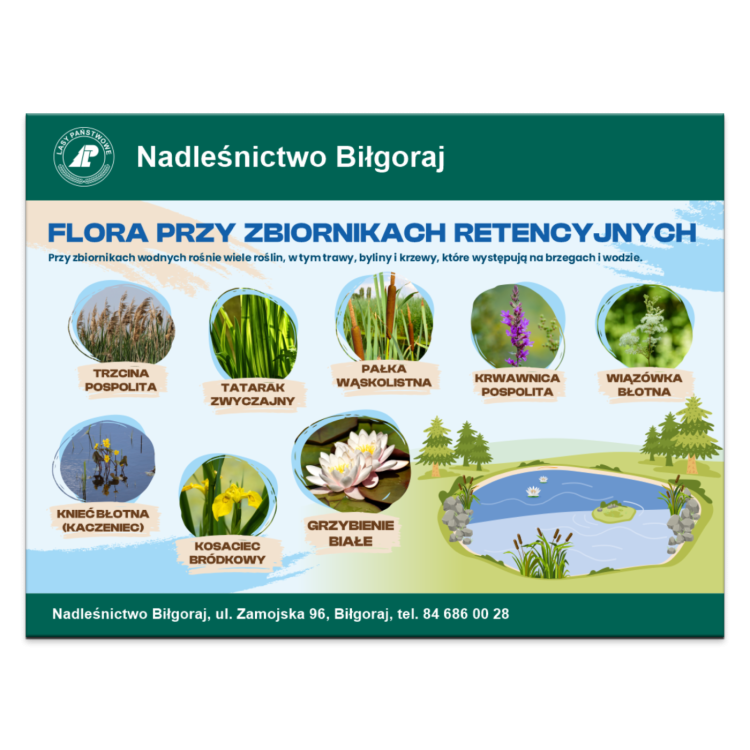 FLORA PRZY ZB RET.png