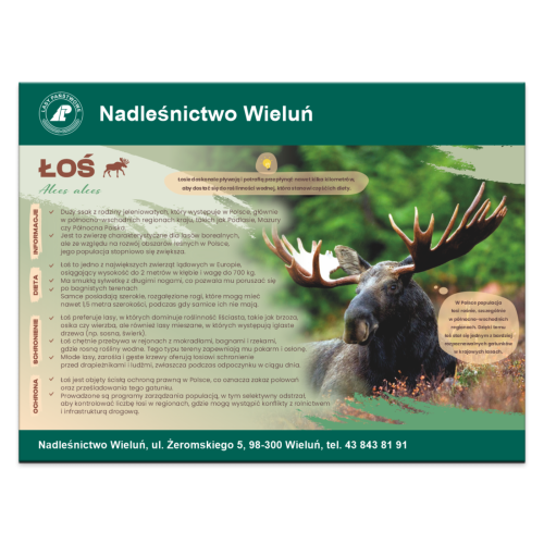 ŁOŚ.png