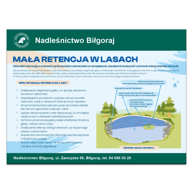 MAŁA RET W LASACH.png