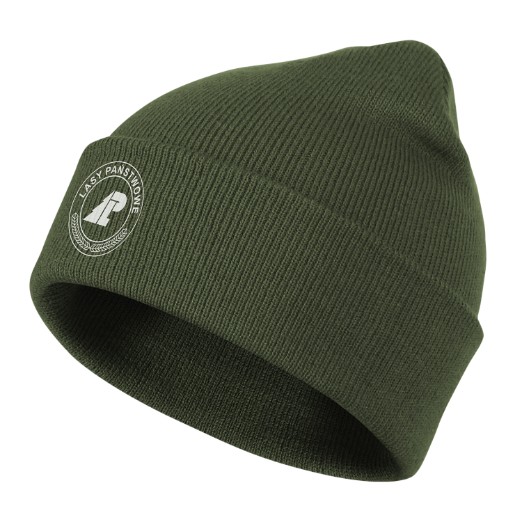 czapka beanie.png