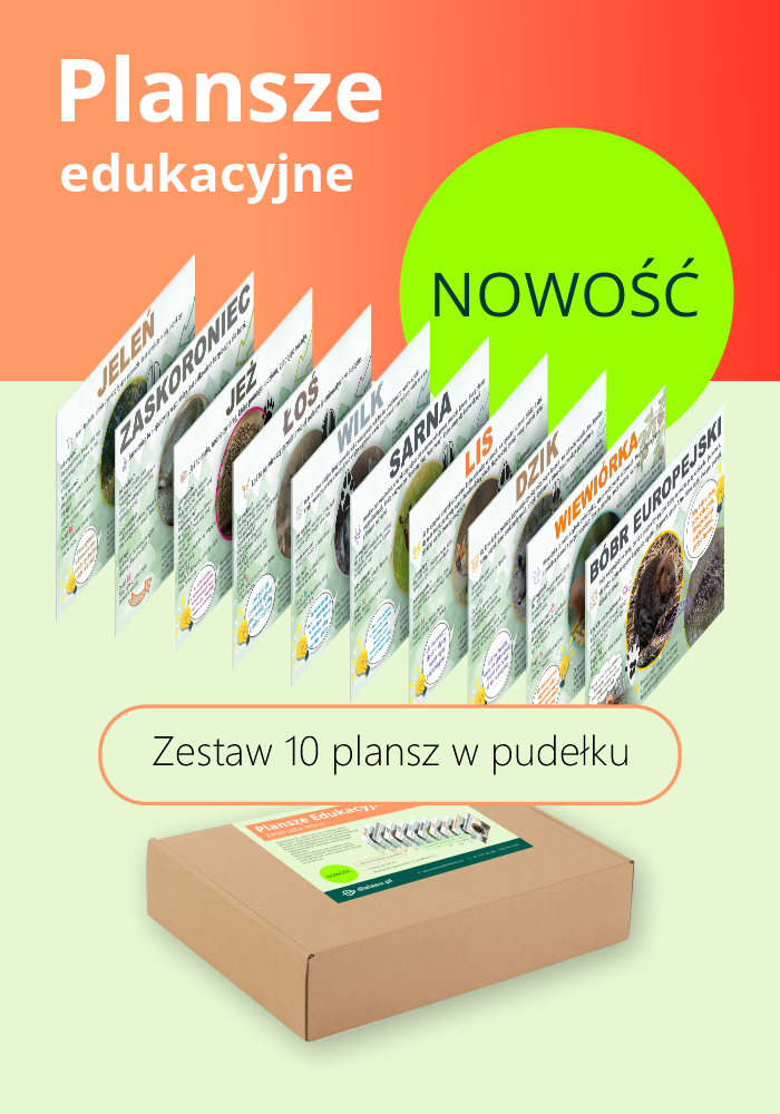Plansze